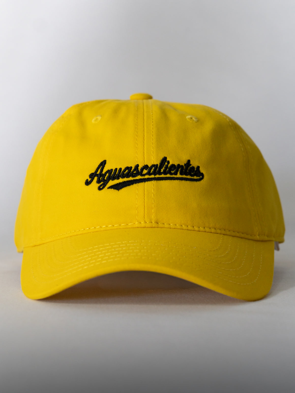 AGUASCALIENTES SPORT SNAP