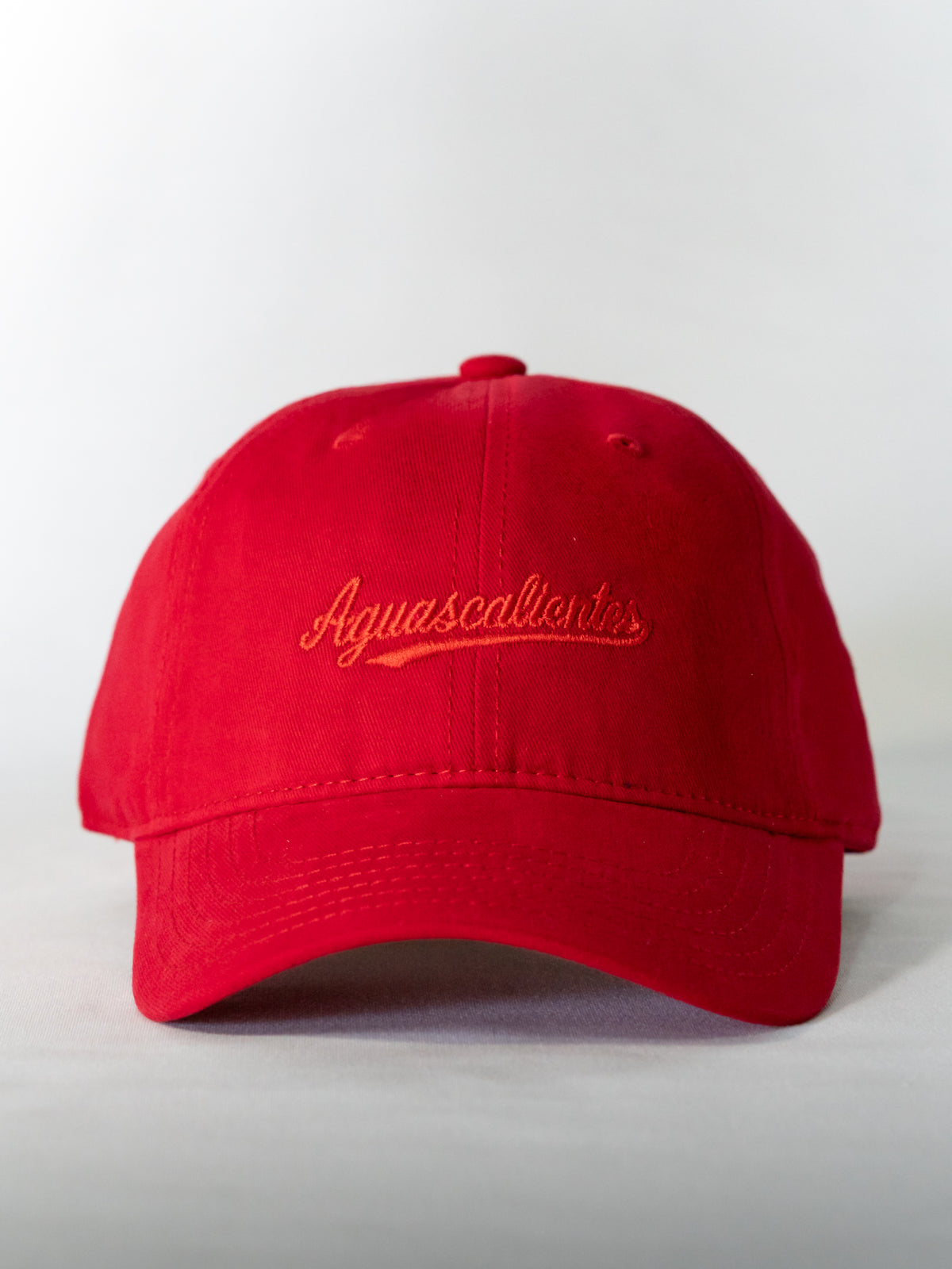 AGUASCALIENTES SPORT SNAP