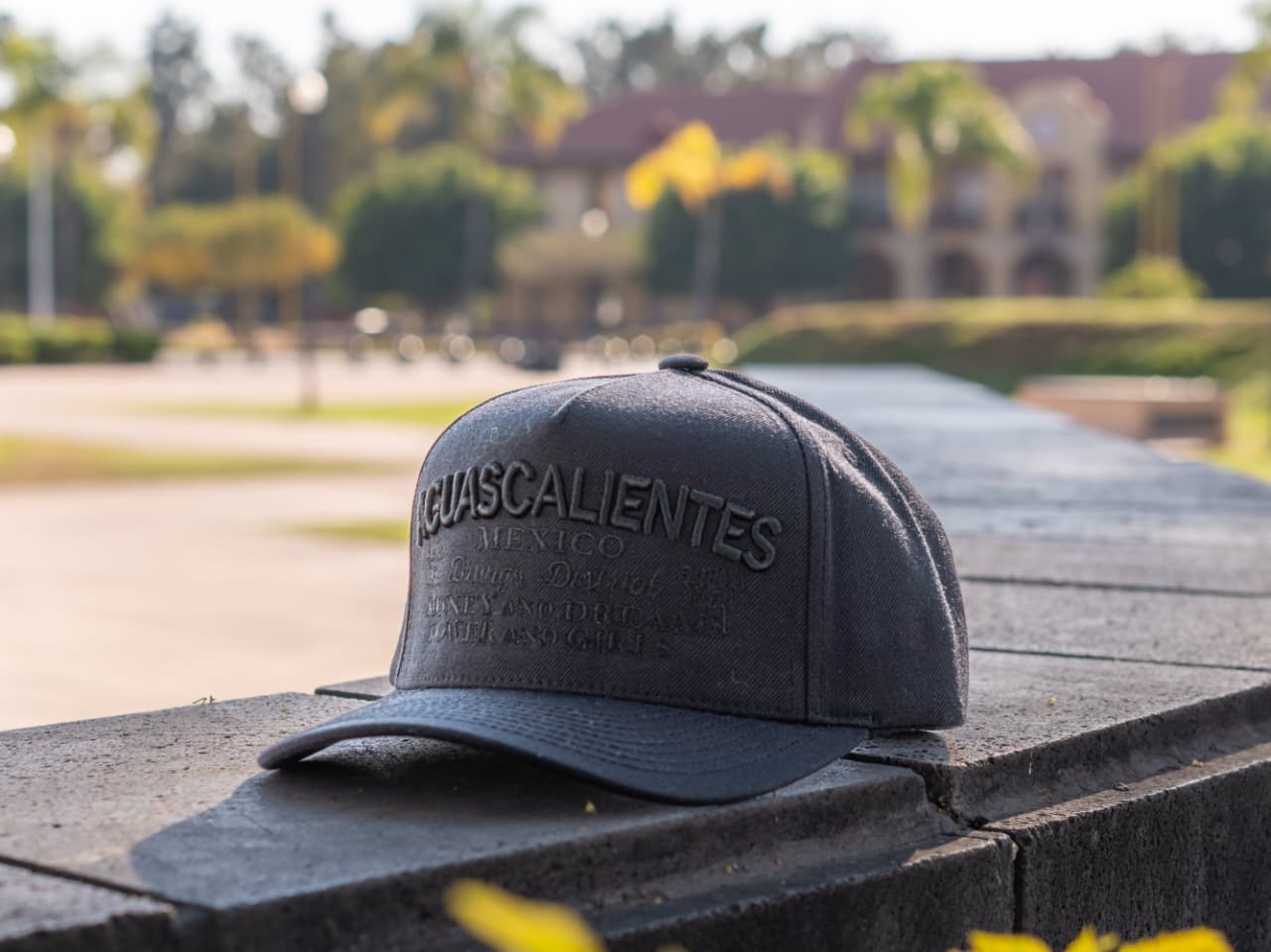 MALA FAMA AGUASCALIENTES BLACK