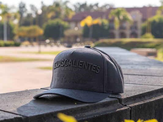 MALA FAMA AGUASCALIENTES BLACK